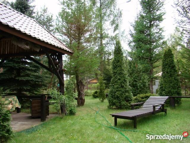 Pogorzelec śliczna działka z domem Łochów