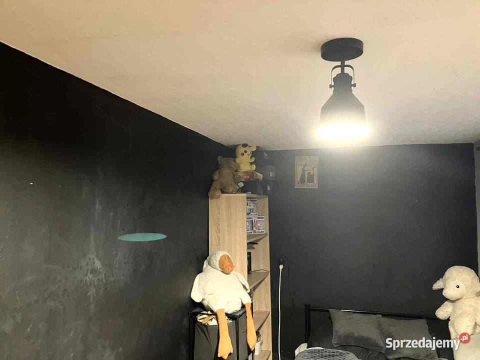 Dom Suszec centrum działka ok2000m2 blacha