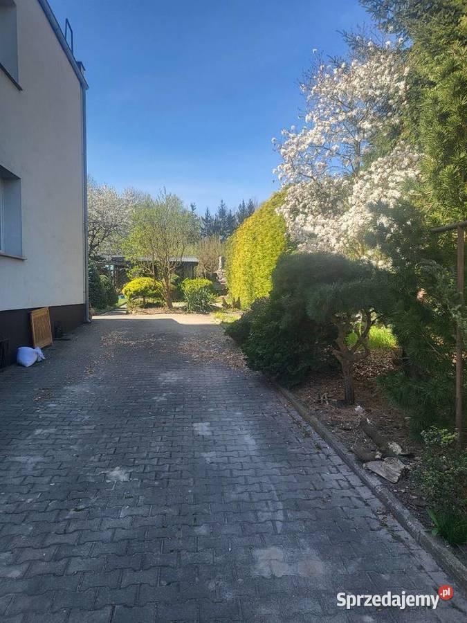 NOCLEGI FIRM Apartamenty i mieszkania Bolesławiec