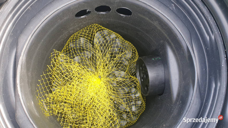 OCZYSZCZALNIA ŚCIEKÓW NA Ogródek ROD 1000L B1 Leszno