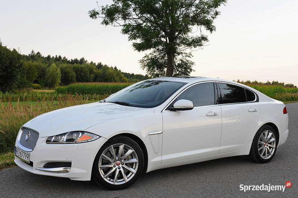 Jaguar XF Jaguar xf 20 T zadbany niski przebieg podkarpackie Kańczuga