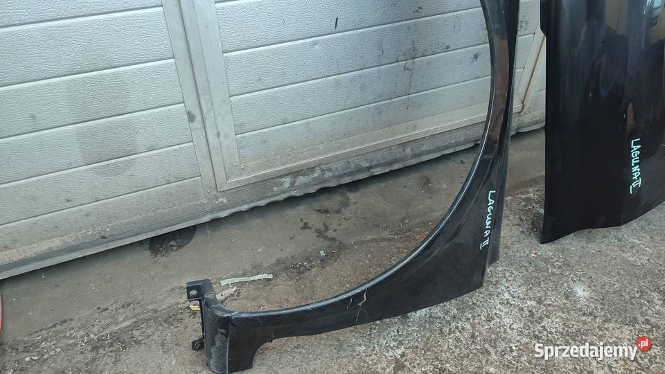 BŁOTNIK PRAWY LEWY PRZÓD RENAULT LAGUNA II 0207 Błotniki