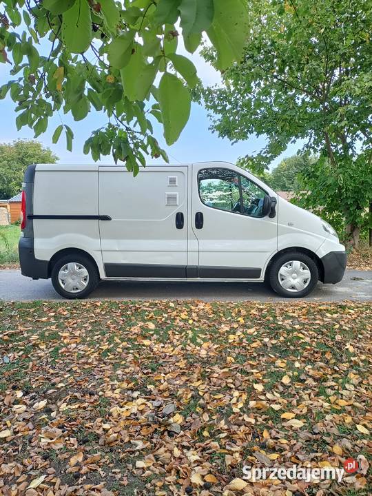 RENAULT TRAFIC 20 DCI facelift diesel Gorzów Wielkopolski
