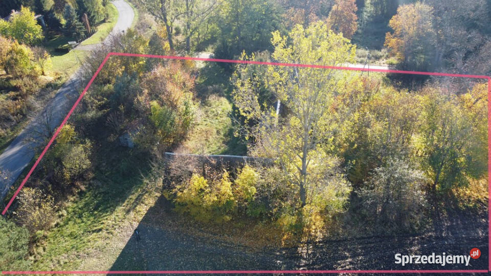 Dom na wsi w Przyłęku pow Zwoleń mazowieckie Przyłęk