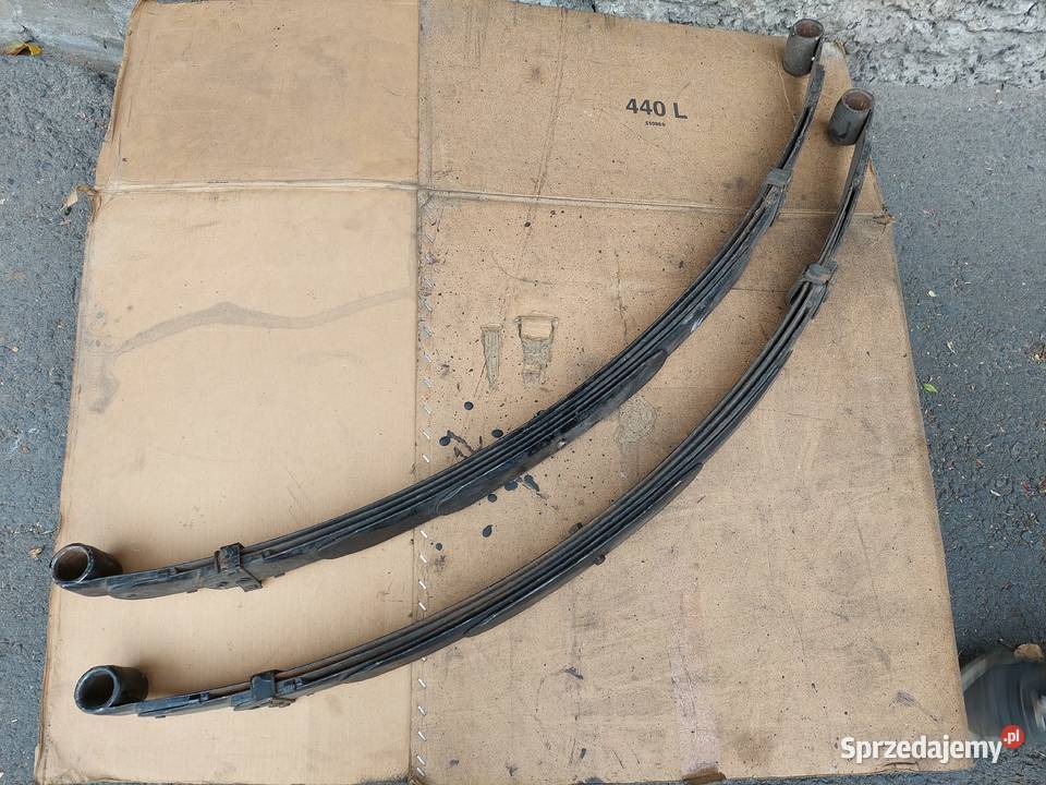 Resory do żuka Mirsk