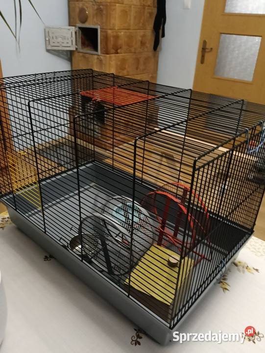 Klatka gryzoni 58x41x35 Koszalin