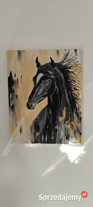 Obraz akrylowy Wałbrzych sprzedam