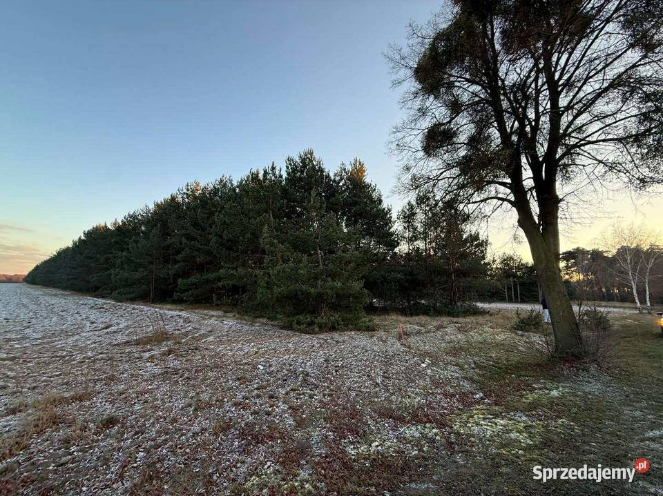 Działki budowlane na sprzedaż Józefowo k Słupcy Sprzedaż Piotrowice