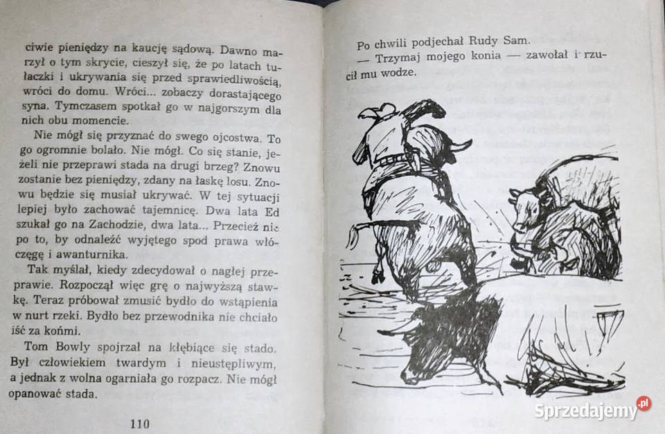 W stronę Kansas City Dzielny Ken z Kolorado A Chełm sprzedam