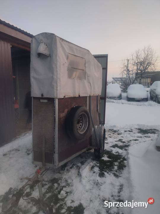 Przyczepa na konie WERTMANN