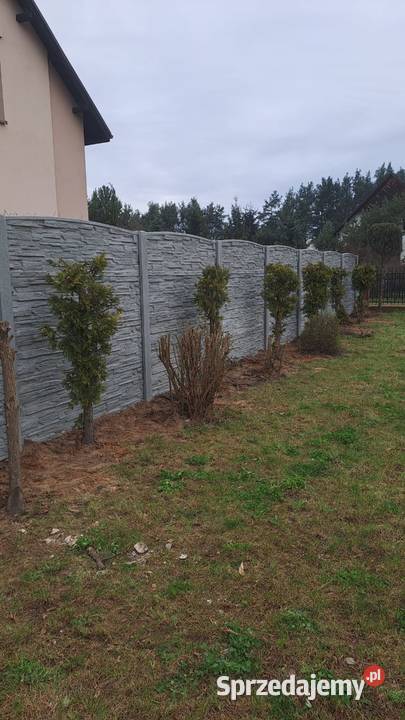 Ogrodzenia betonowe Polkowice dolnośląskie usługi budowlane