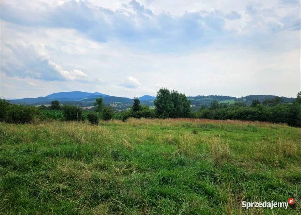 Działka granicy z Czechami RATY śląskie Cieszyn