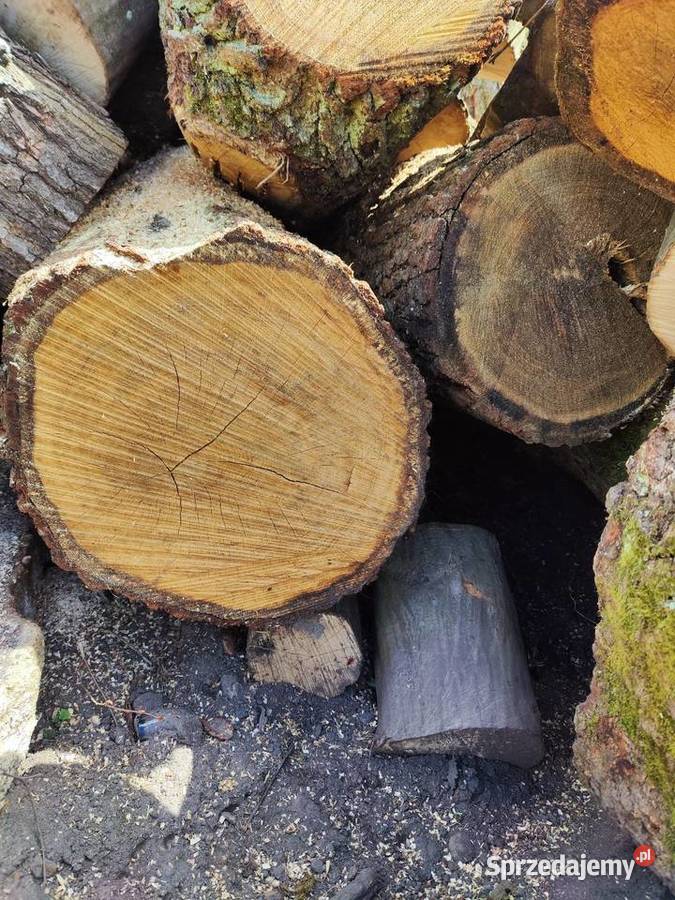 Kłody dębowe 25m Kamienna