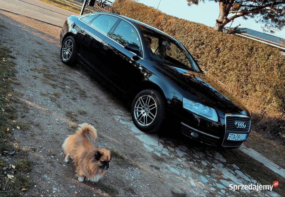 Audi a6 c6 27 v6 tdi 180 2008r wspomaganie kierownicy lubelskie Łuków
