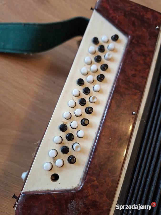 Akordeon Harmonia guzikowa Instrumenty klawiszowe i MIDI Szewna