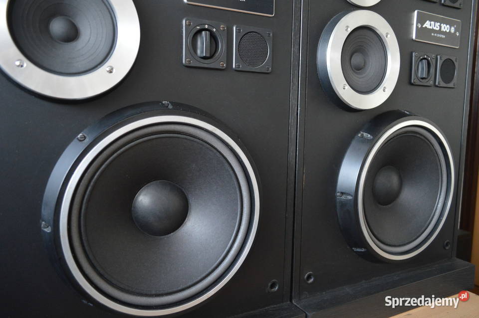 Altus 100 Eksportowe HGS Electronic Renowacji Haczów