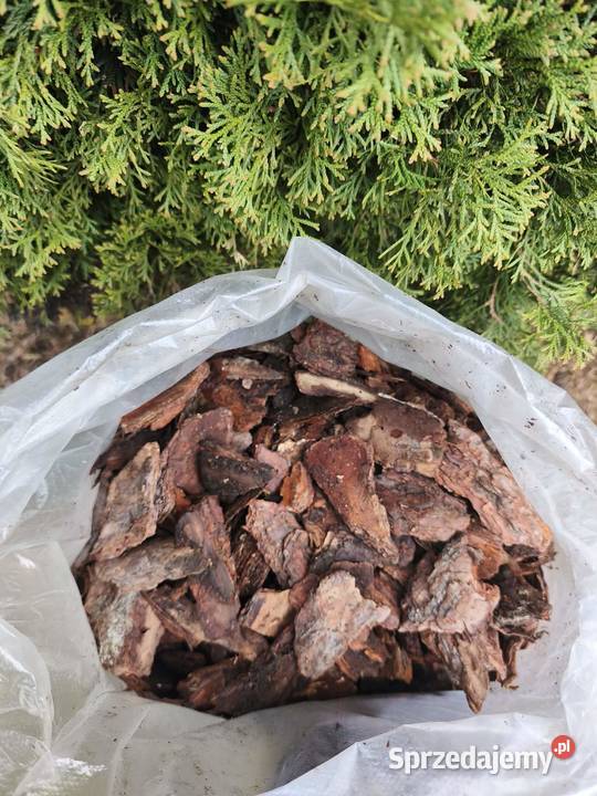 kora sosnowa sortowana łupek 4080 mm Wołomin