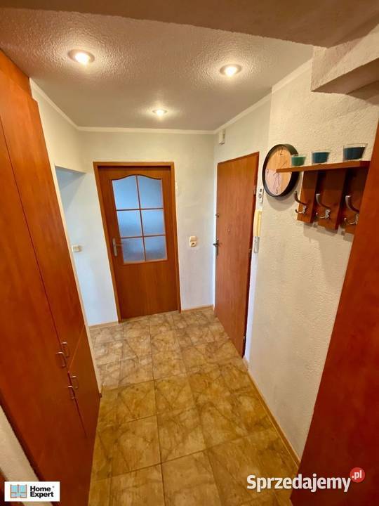 2pok 40met Legnickiej PIWNICAWINDA Wrocław Sprzedaż