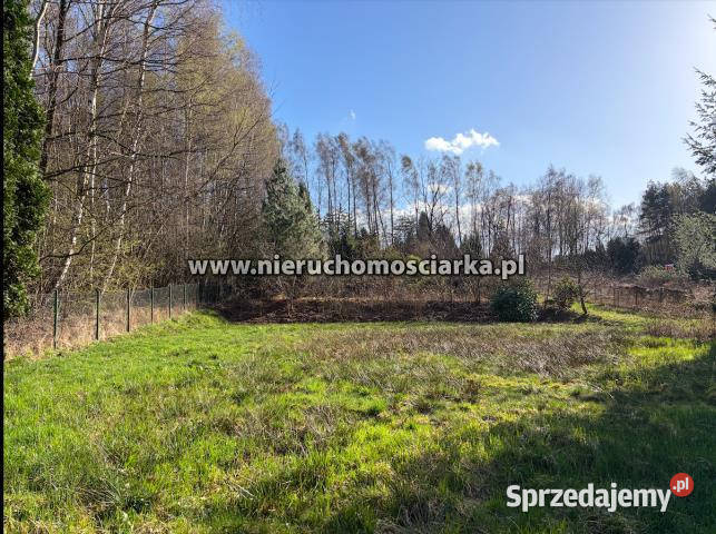 Działka 3750 metrów Wodzisław Śląski