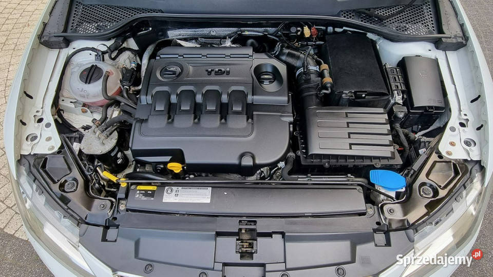 Seat Leon FR Xenon Navi Automat 20 GWARANCJA mazowieckie sprzedam