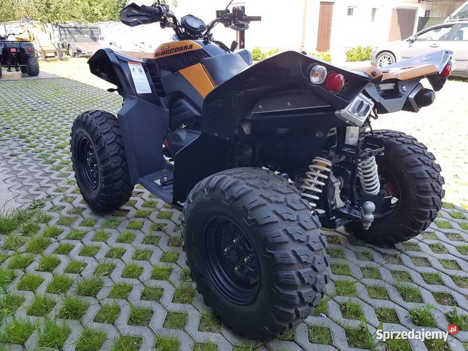 CECTEK KINGCOBRA EFI 500 Homologacja DOSTAWA Wały A