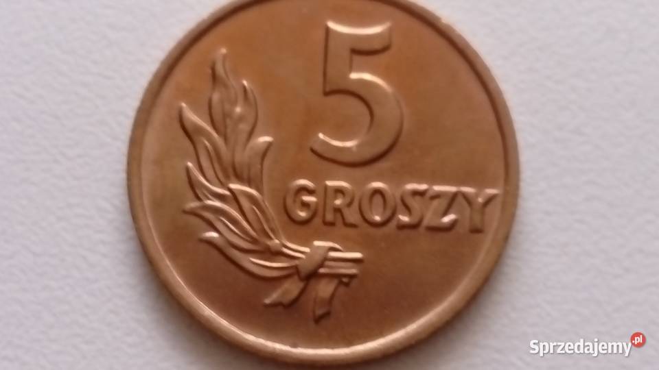 Moneta 5 gr 1949 r Mennicza Super stan Numizmatyka Kolekcje Mosina