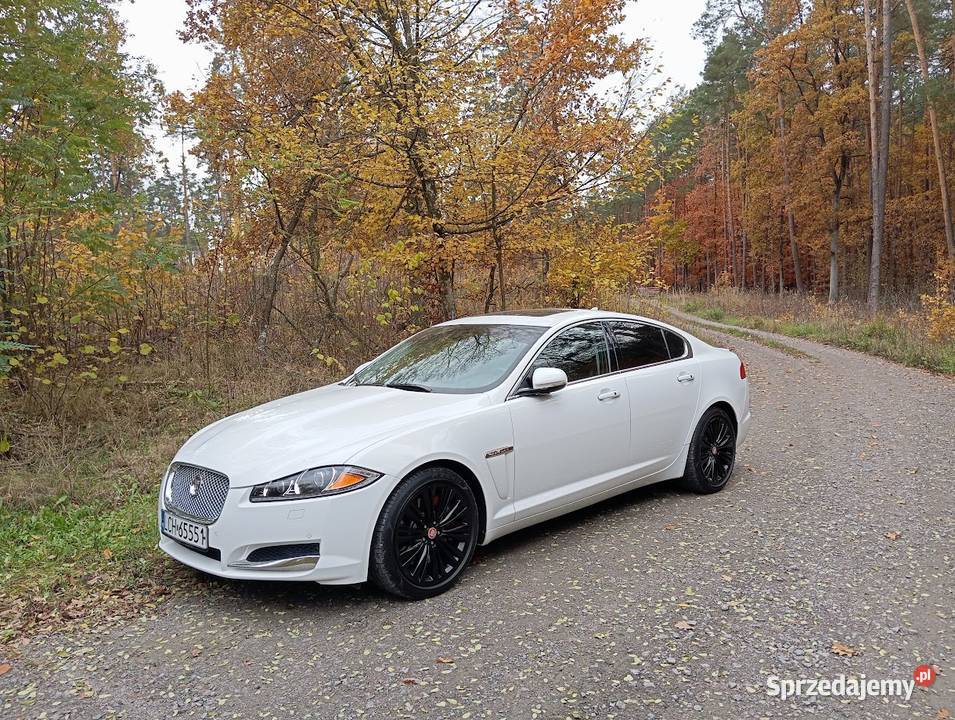 Jaguar XF 250 lift 2015 r 64 benzyna Chełm