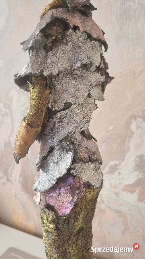 Afrykanka lubelskie Zamość