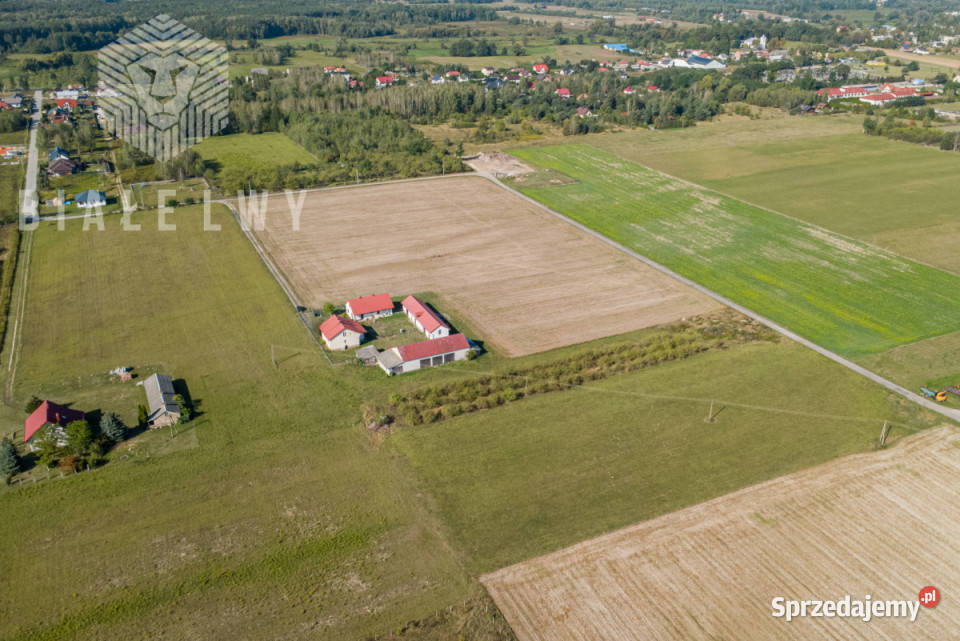 Grunt 1000m2 Prażmów