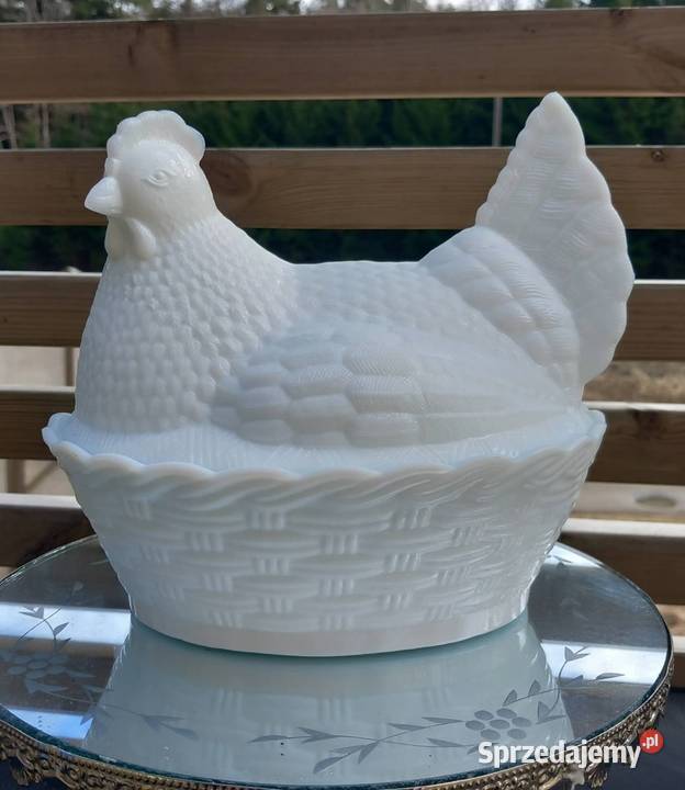 Kura stara opolskie Kolonowskie sprzedam