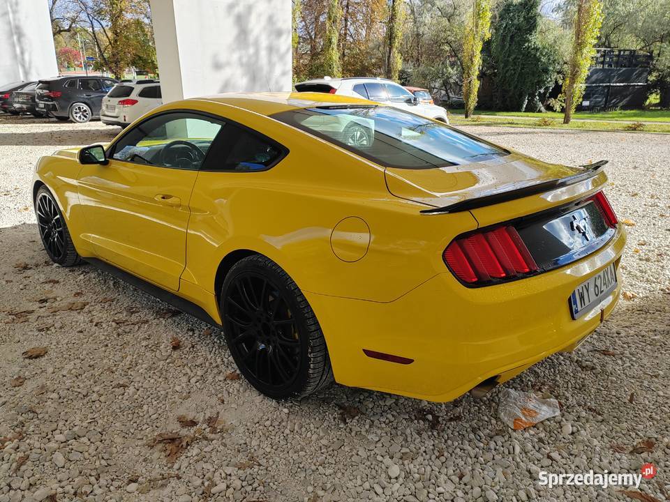 Ford mustang 37 Warszawa
