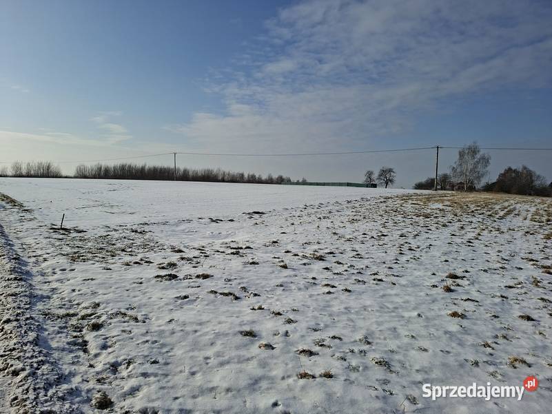 Bolechowice gm Zabierzów działka budowlanorolna sprzedam