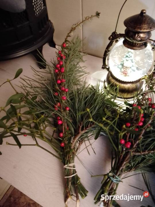 Jemiołka pęczki kulki