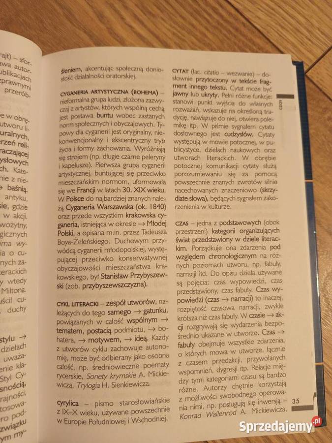 Słownik terminów literackich Serock