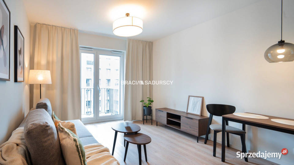 Mieszkanie 246m2 Kraków Romanowicza Liczba pokoi 1