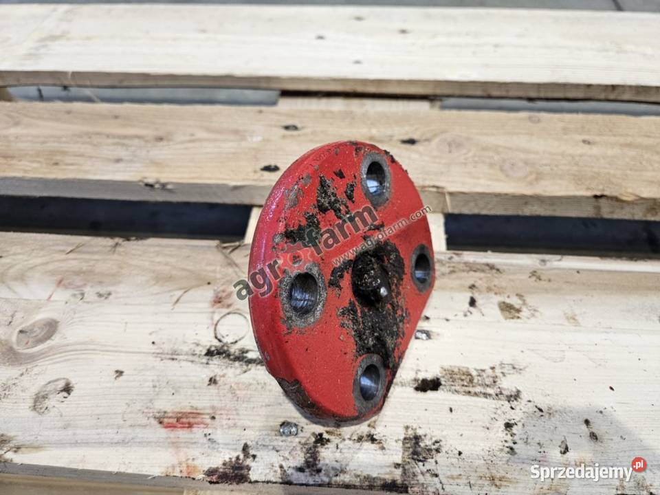 Sworzeń zwrotnicy dolny McCormick ZTX 280 230 dolnośląskie Byków