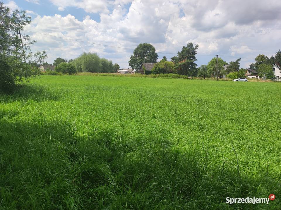 Działka rolna w Iłownica śląskie sprzedam