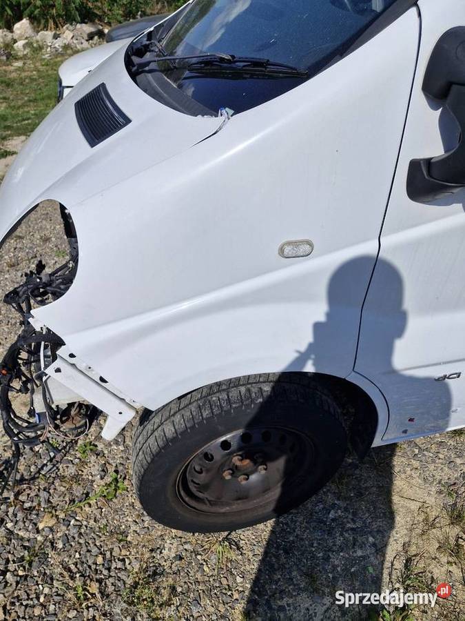 Renault Trafic Viavro II Drzwi Błotnik osobowe Tomaszów Lubelski sprzedam