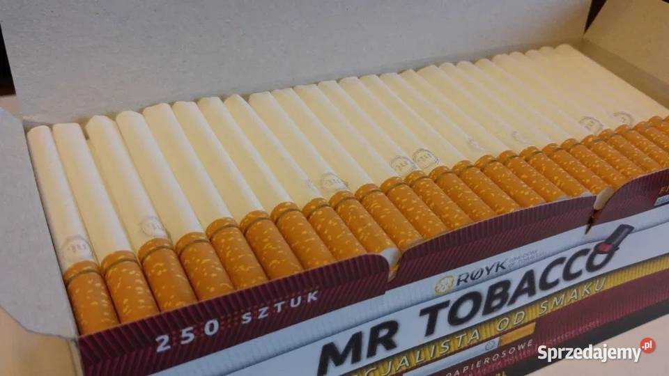 gilzy długi filtr Warszawa