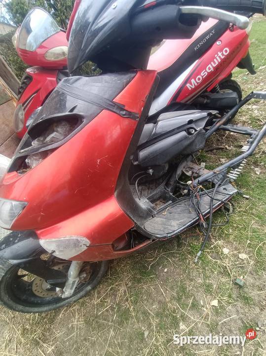 Sprzedam wszystko to co na zdjęciach Pińczów