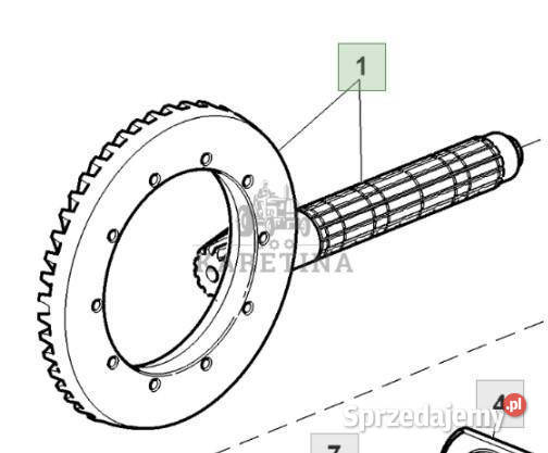 John Deere 6115R Koło Talerzowe Wałek Atakujący Pozostałe wielkopolskie Jastrzębniki