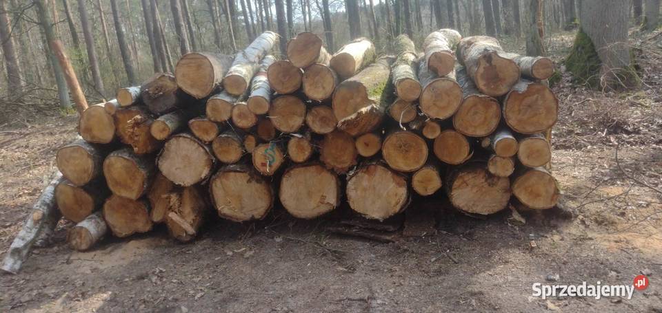 Drewno opałowe sosna brzoza Żnin