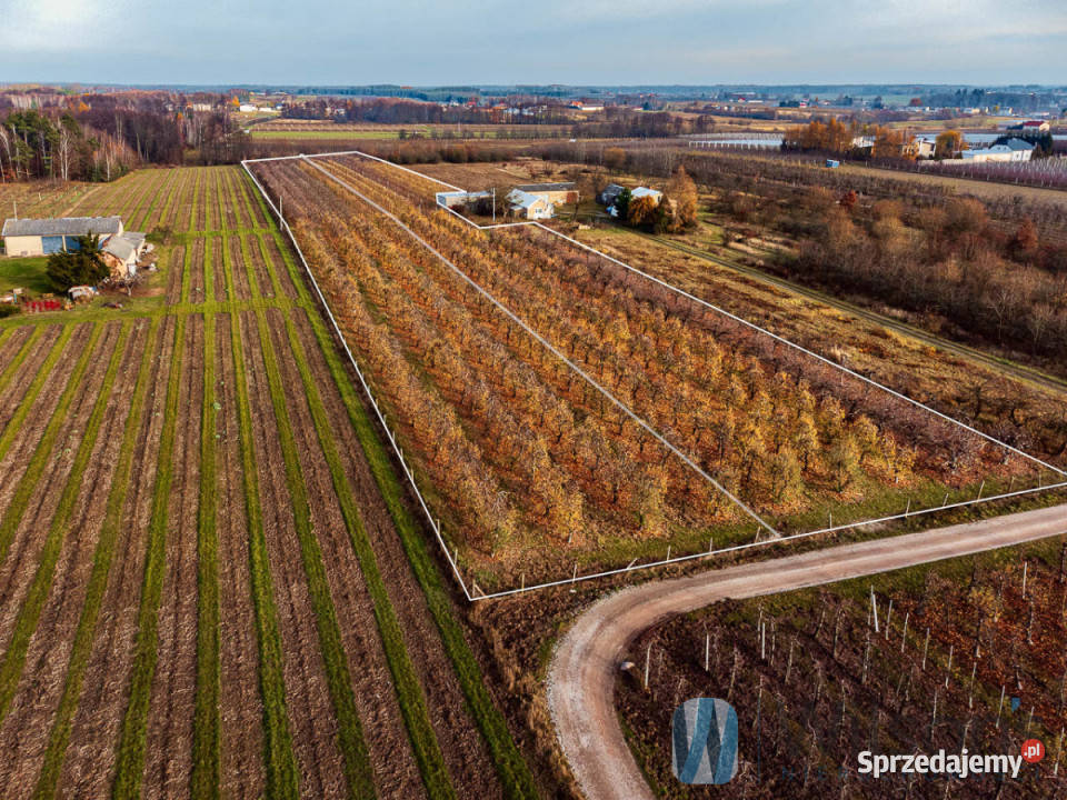 Działka 21802m2 Michrów