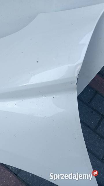 Błotnik lewy DS4 2023 sprzedam