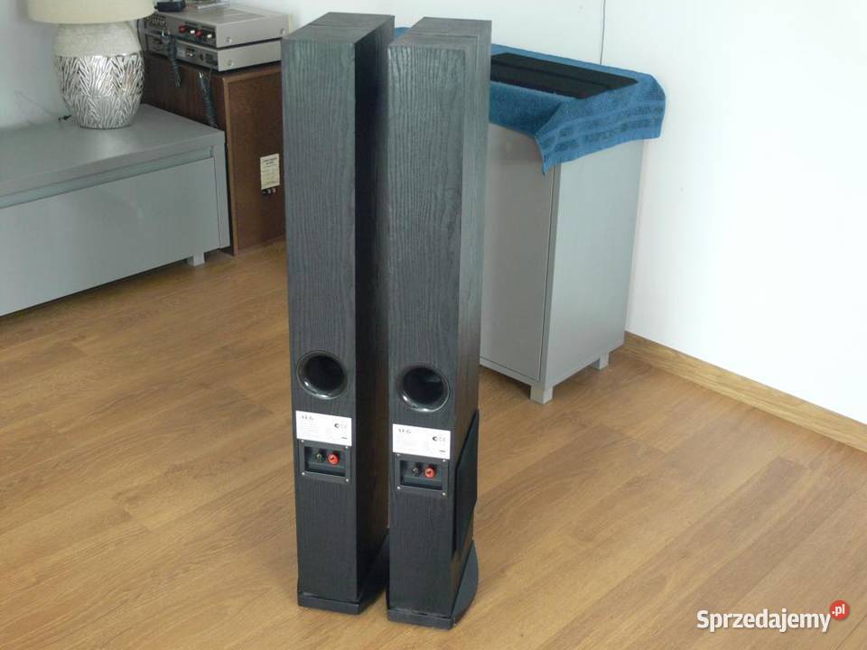 Niemieckie kolumny AEG 2 x 480 wat DOSTAWA Jasło sprzedam