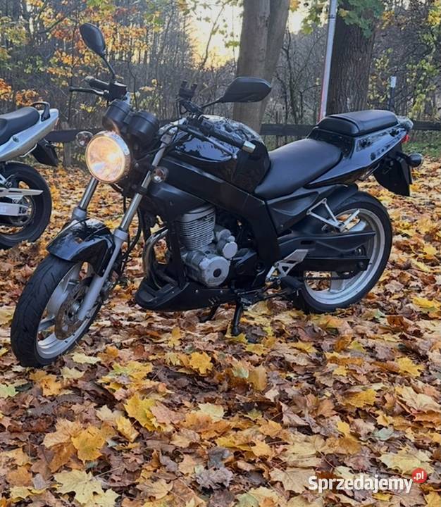 Dealim Roadwin VJ125 Lipno