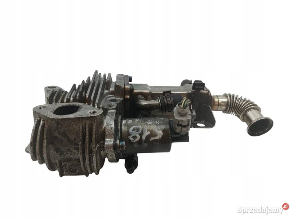 CHŁODNICA SPALIN 7700107471 19 DCI Renault Grand świętokrzyskie sprzedam