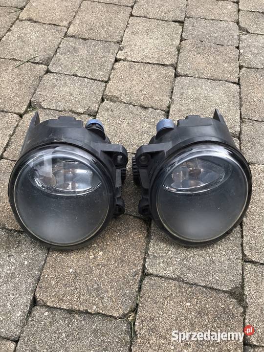 Halogen BMW X5 E53 osobowe Kozy