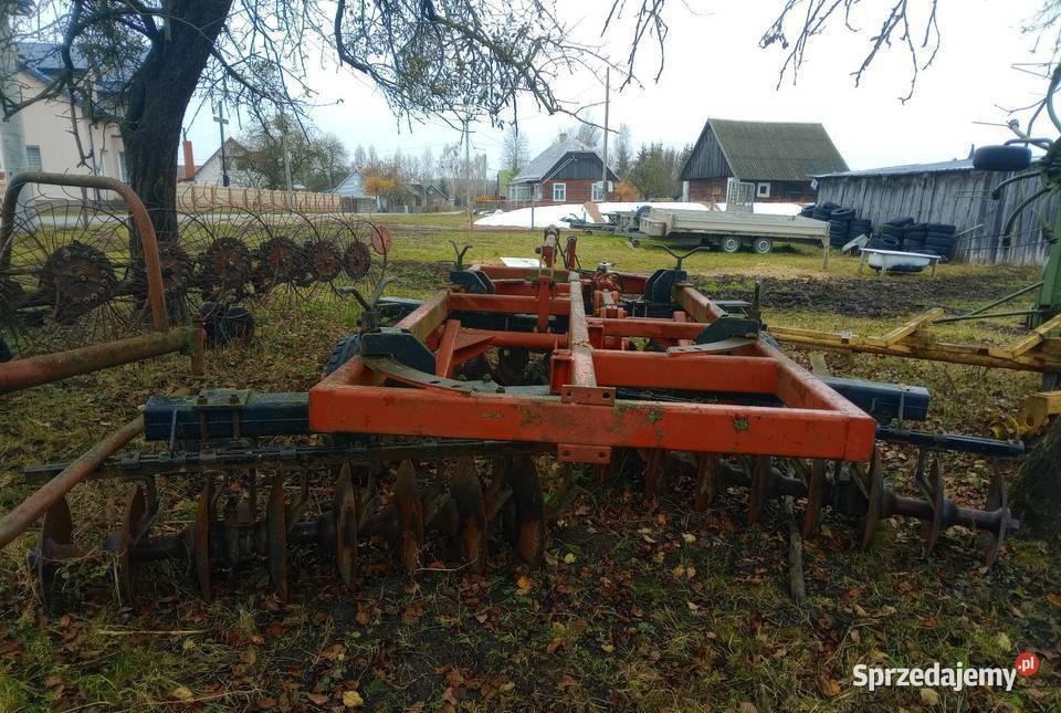 Talerzuwka nieuszkodzony Lipsk