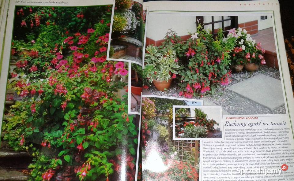 Działkowiec specjalny 12342004 Chełm